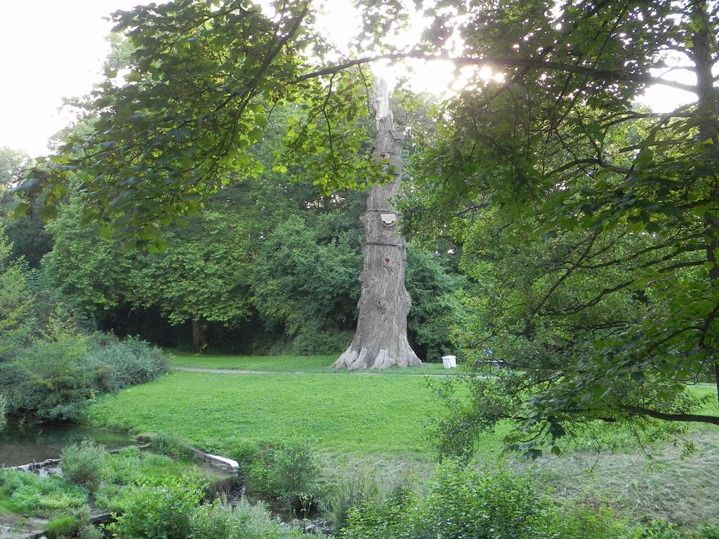 Penzion Krasny Dvur Exteriör bild